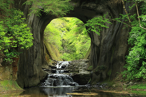 写真:6月