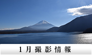 1月