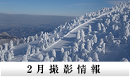 2月