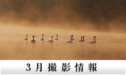 3月