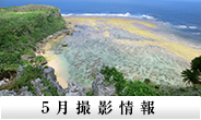 5月