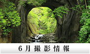 6月