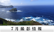 7月