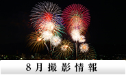 8月
