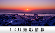 12月